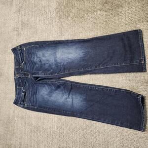 American Eagle Jeans Artist Crop Blue Women's Size 8